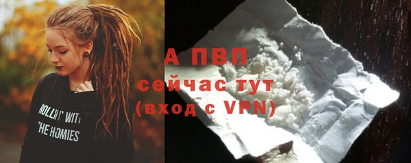 шишки Волоколамск