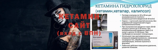 шишки Волоколамск