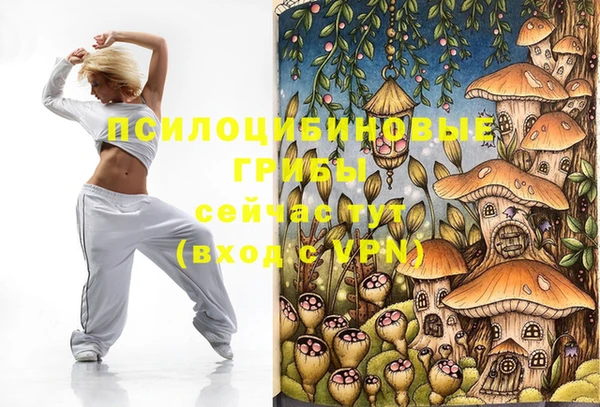 первитин Володарск