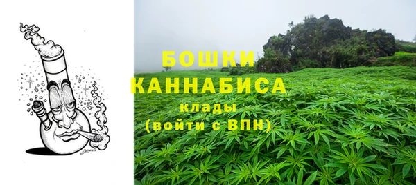 шишки Волоколамск