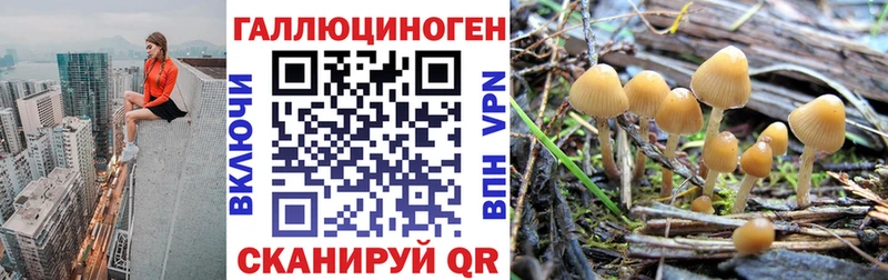 Галлюциногенные грибы Cubensis  Купить  Алушта 